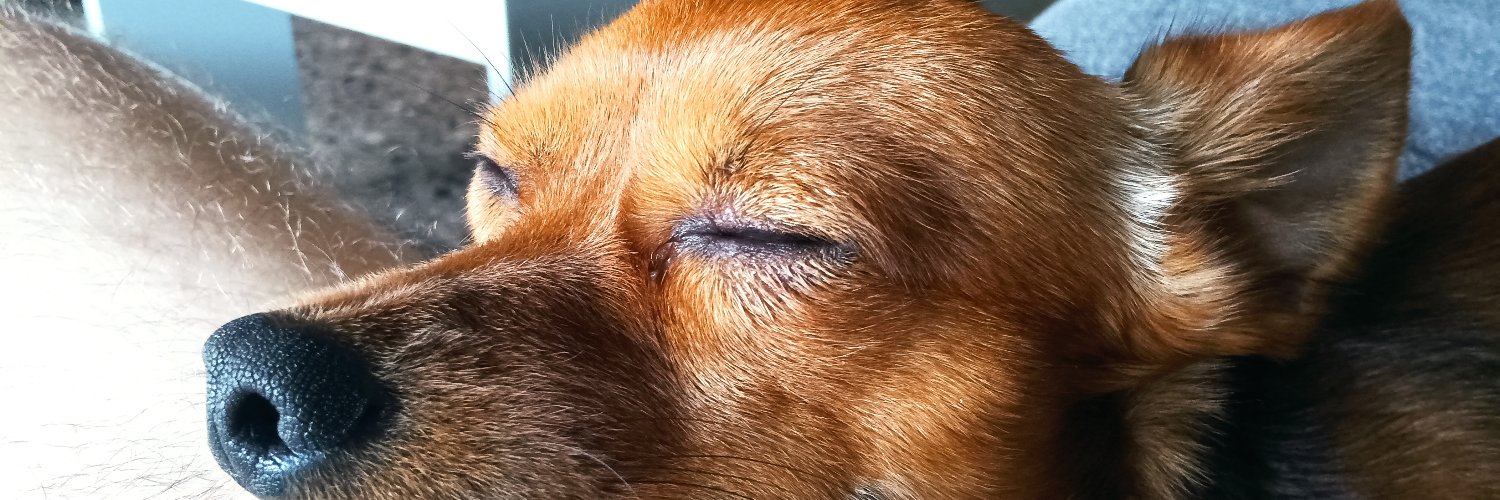 Saiz77's profile banner image