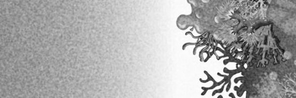HintermannAurl1 Profile Banner