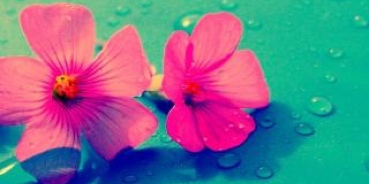_ciska's profile banner image
