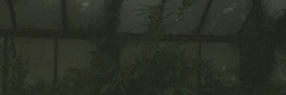Mirtseya's profile banner image