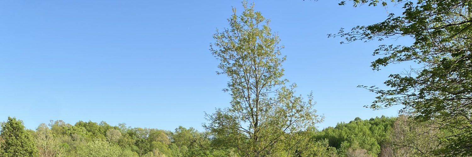 JarrodCavanaugh's profile banner image