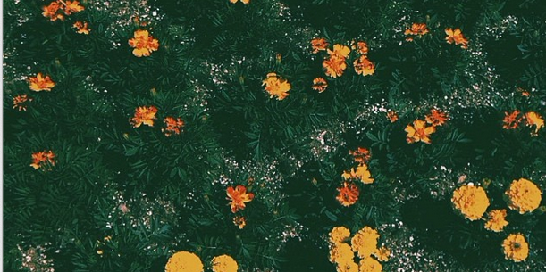 Martadecastro's profile banner image