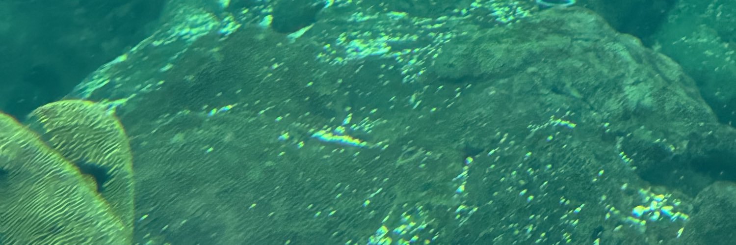longo631's profile banner image