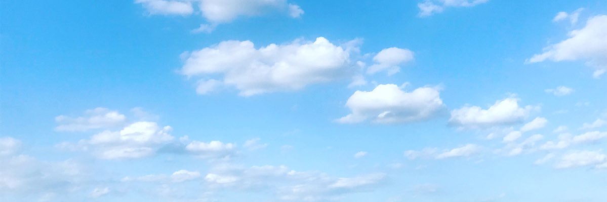 a3nedx81's profile banner image