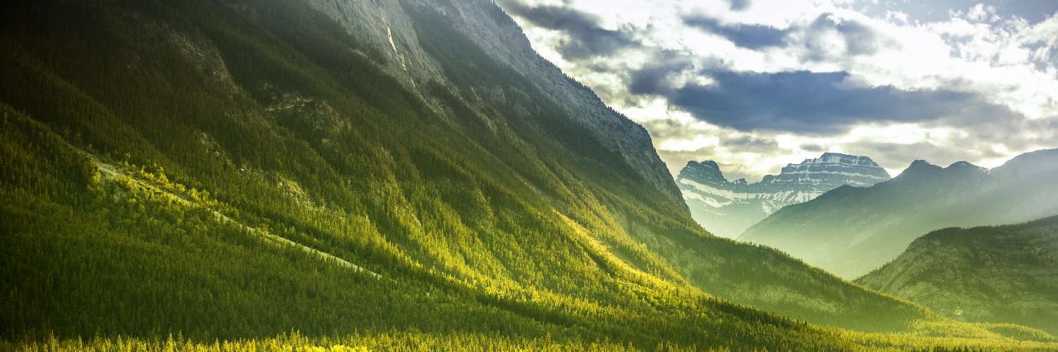 Alberta Real Estate Association banner