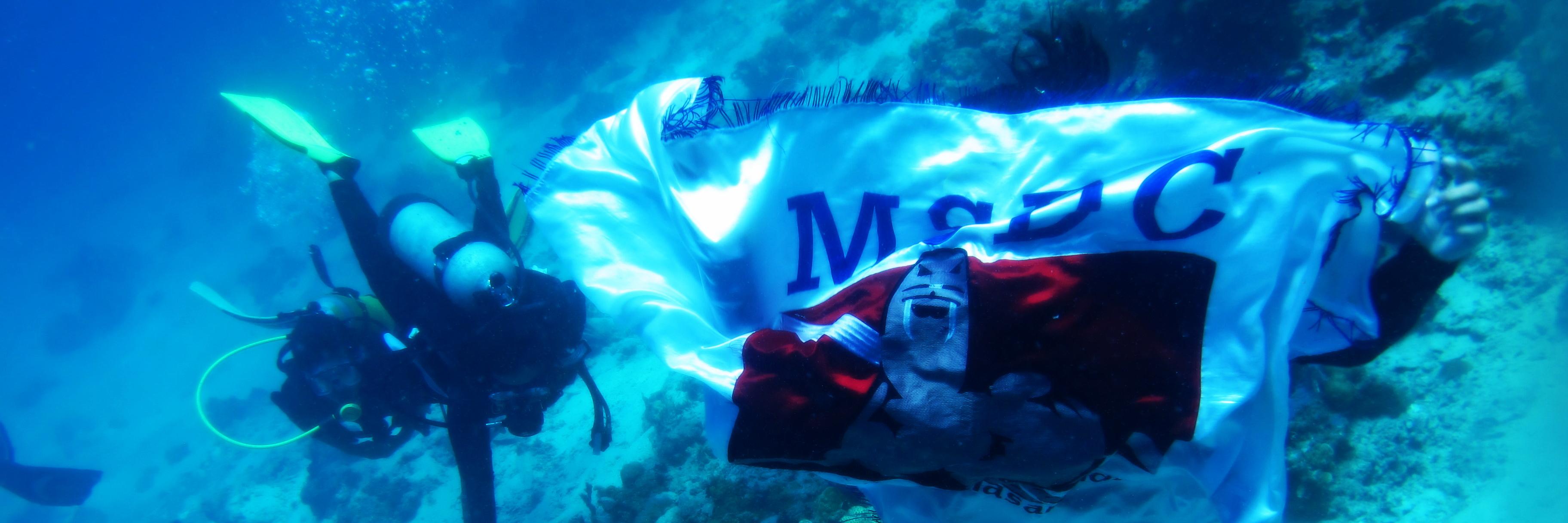 MSDC UNHAS banner