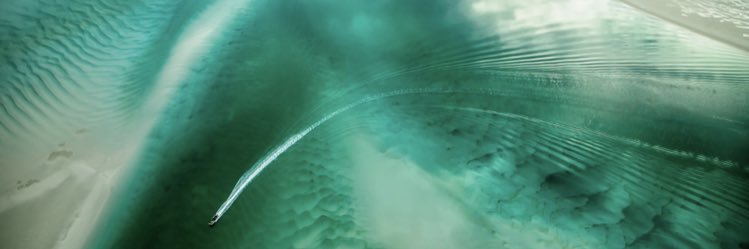 Lord_FireTiger's profile banner image
