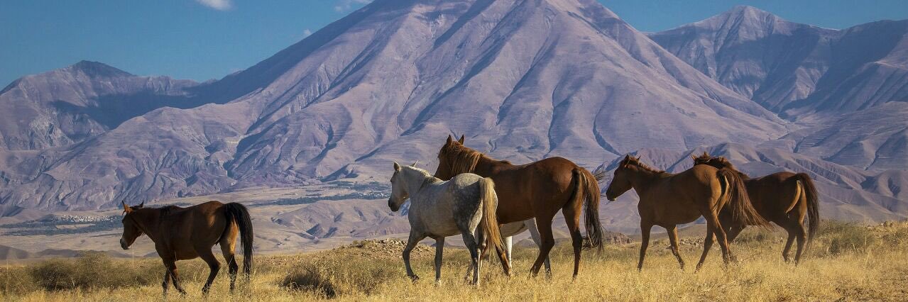 ArasGeopark's profile banner image