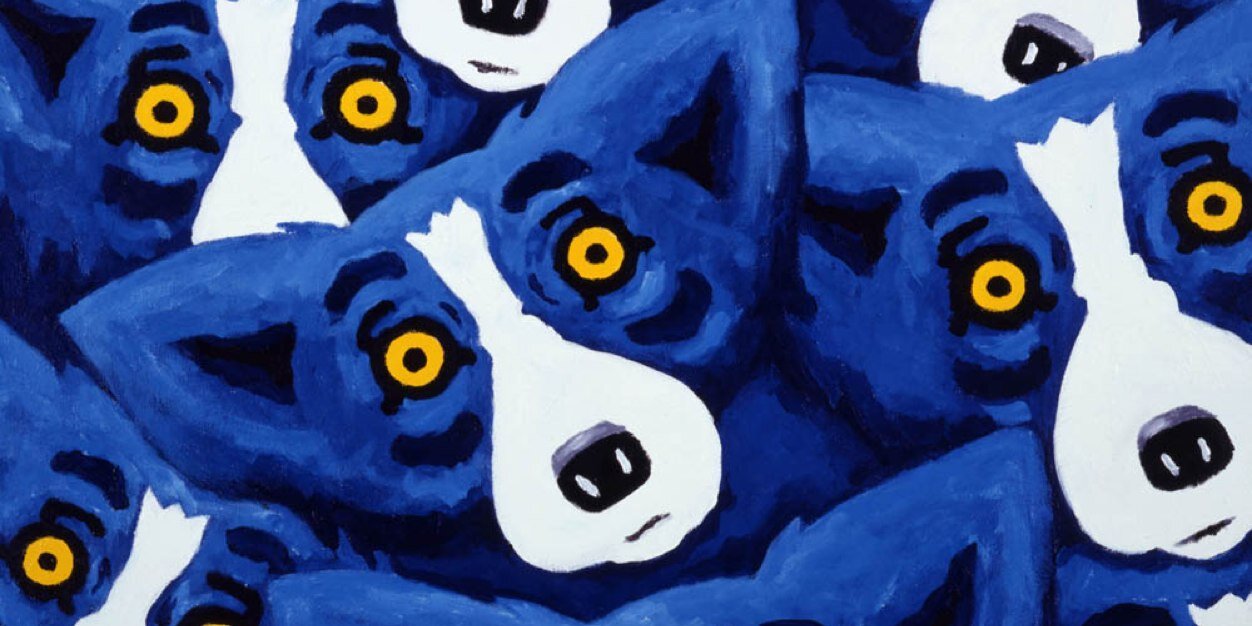 sbenanav's profile banner image