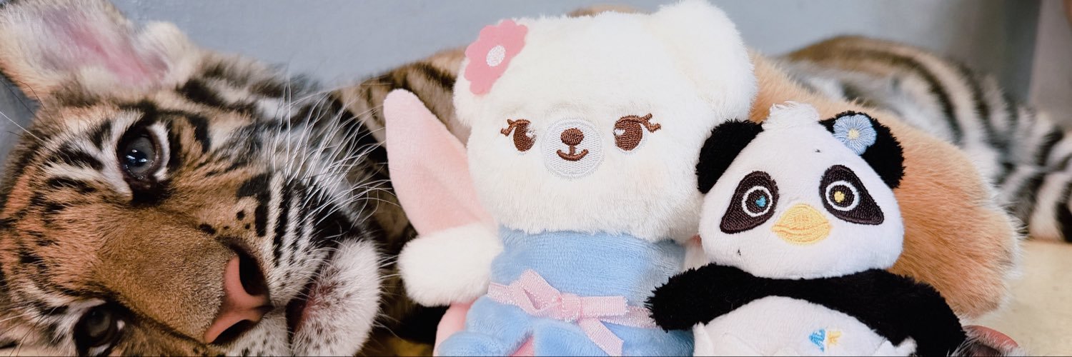 Nof_ts's profile banner image