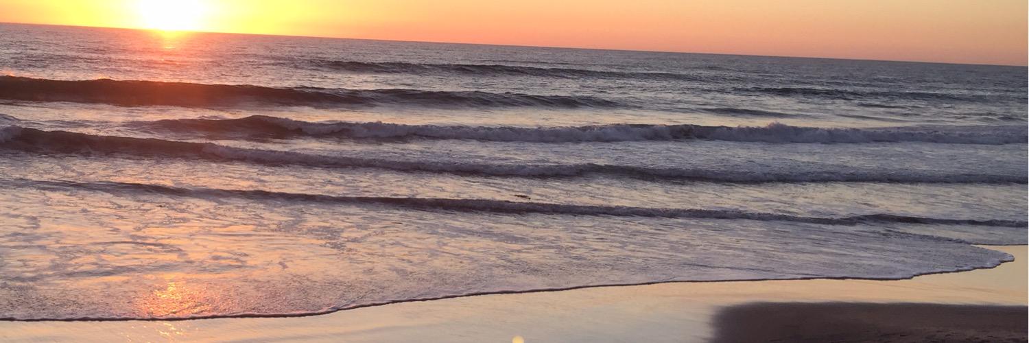 leahrojas94's profile banner image