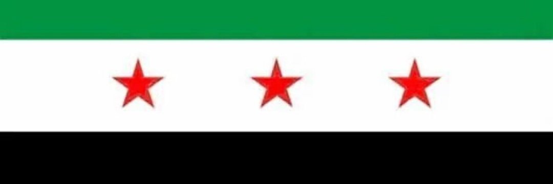 links Abbiegen🇵🇸🇸🇾🇩🇪 banner