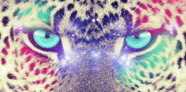 merelnobelen's profile banner image