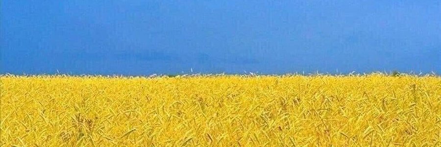 raysilfin's profile banner image