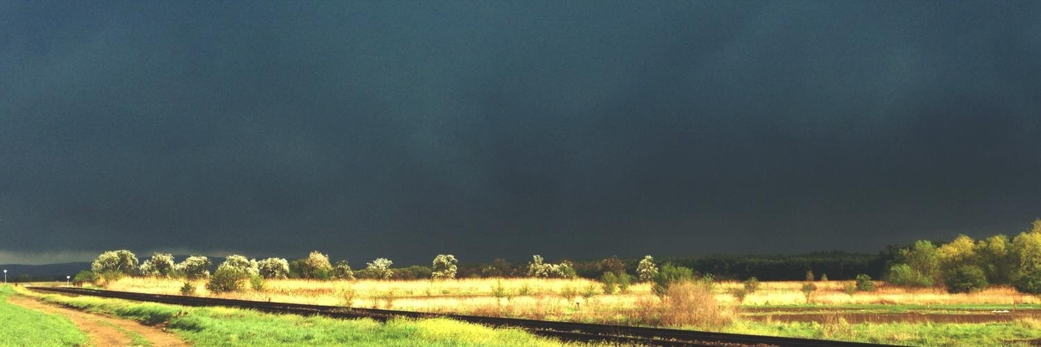 lmanik's profile banner image