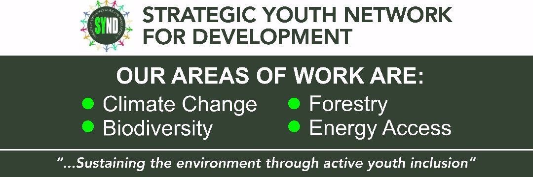 Strategic Youth Network For Development(SYND) banner