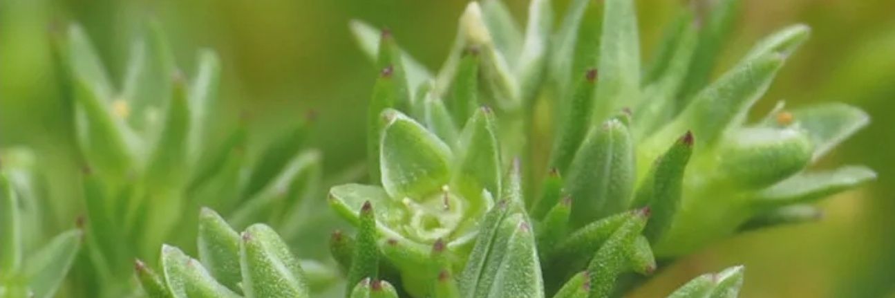 Claudio_Farmacéutico 🌈 banner