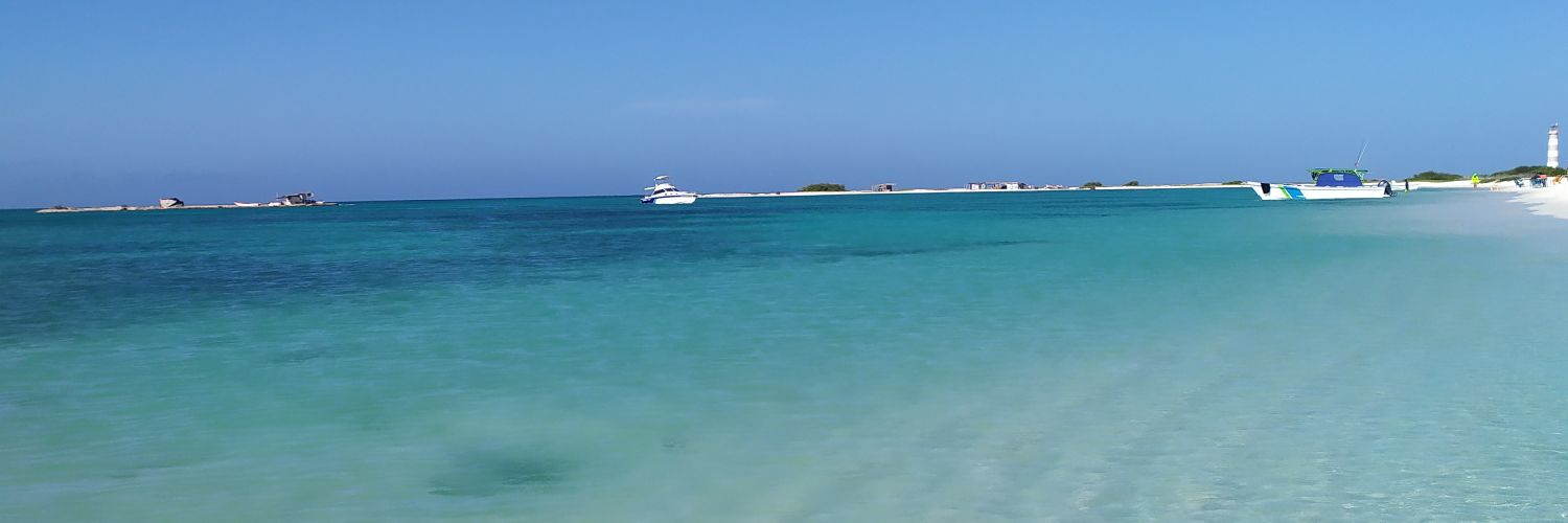 Franlle's profile banner image