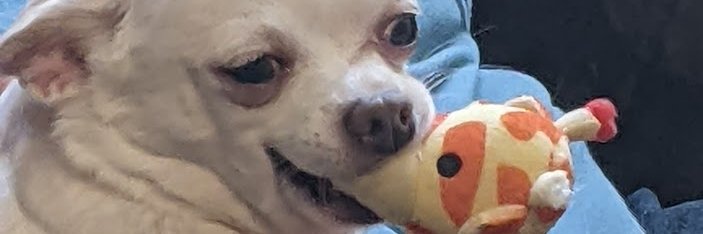 JoyInNF's profile banner image