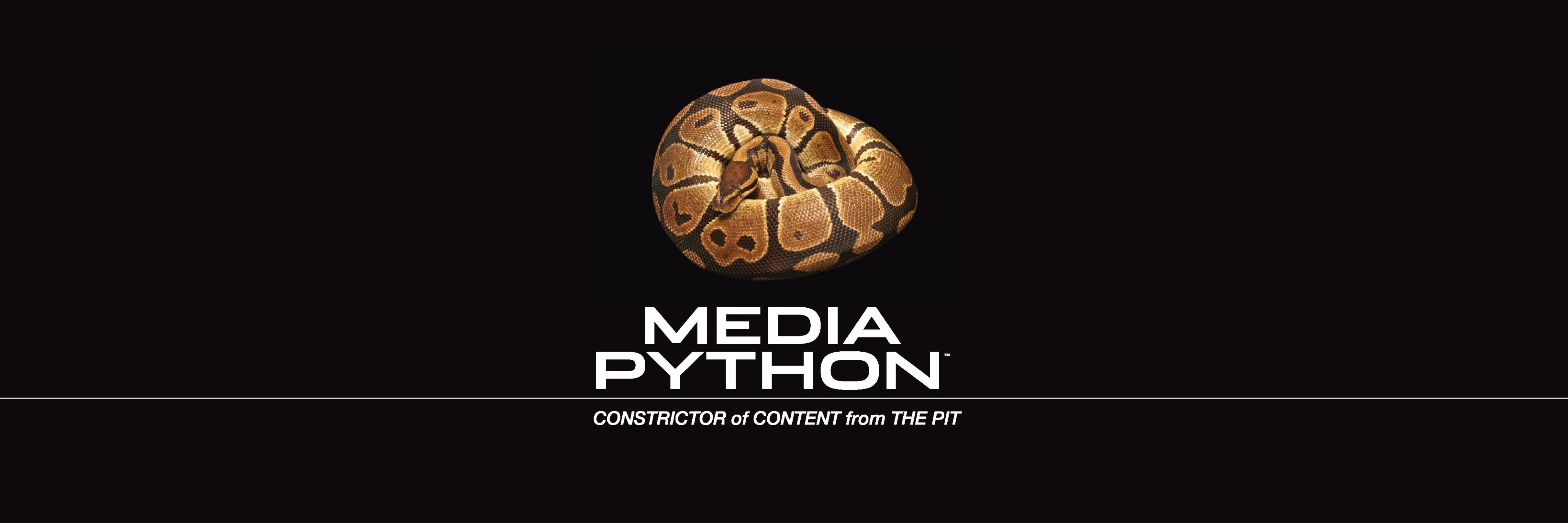 mediapython's profile banner image
