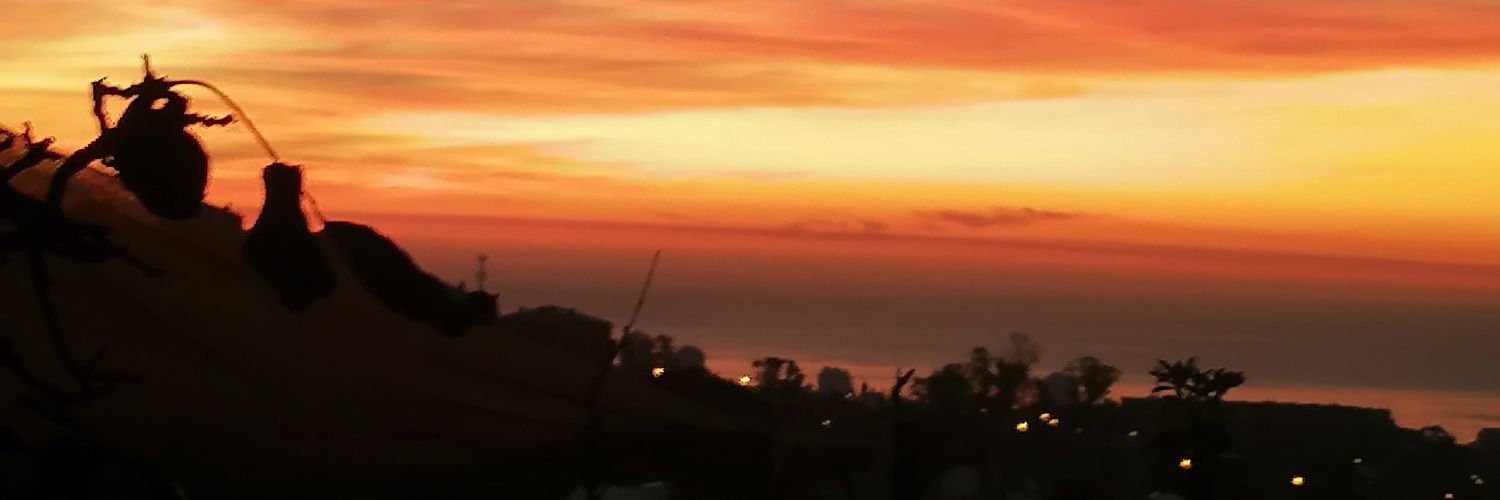 BrunoGoMu's profile banner image