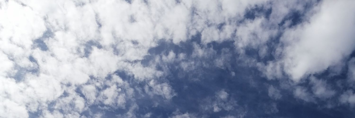 Pialiina's profile banner image