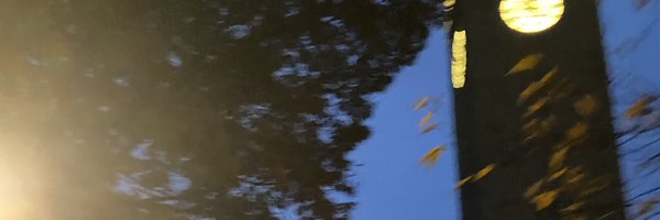 swalsmugs Profile Banner