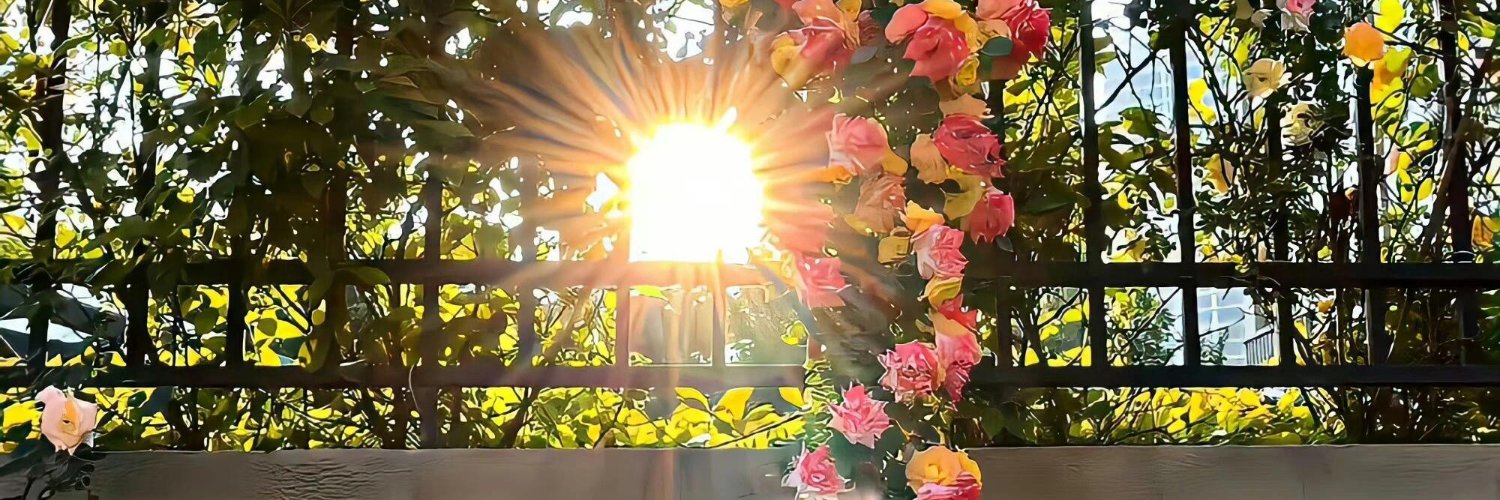 edaecam's profile banner image