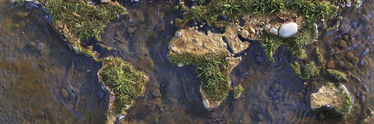 TheCuriousInvestor banner