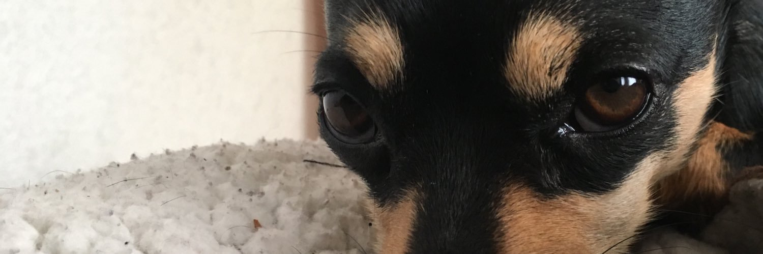 ZairaSayon's profile banner image