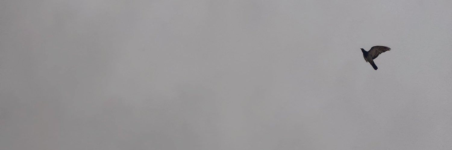 _hl2ly's profile banner image