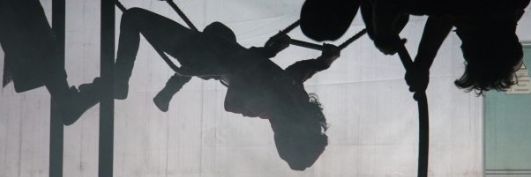 Rosa #DefensemDDHH banner