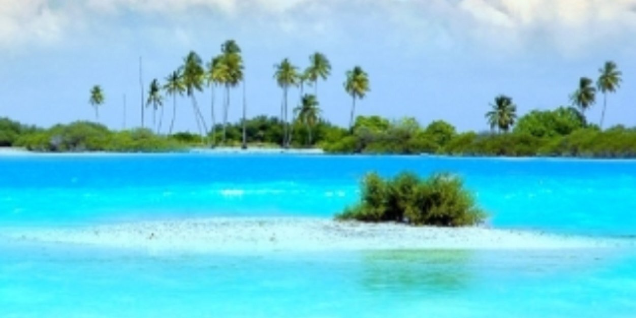 Amyray18A's profile banner image