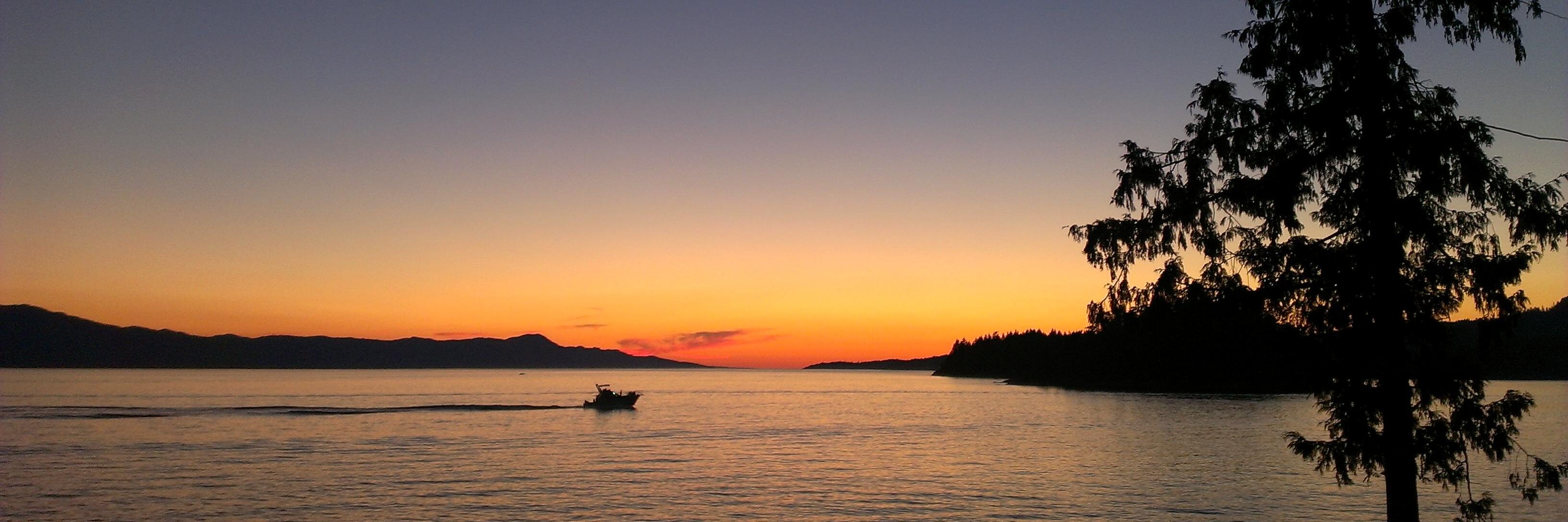 Collin Stewart banner