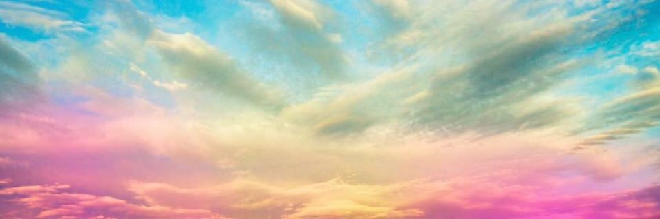 CartierVanessa's profile banner image
