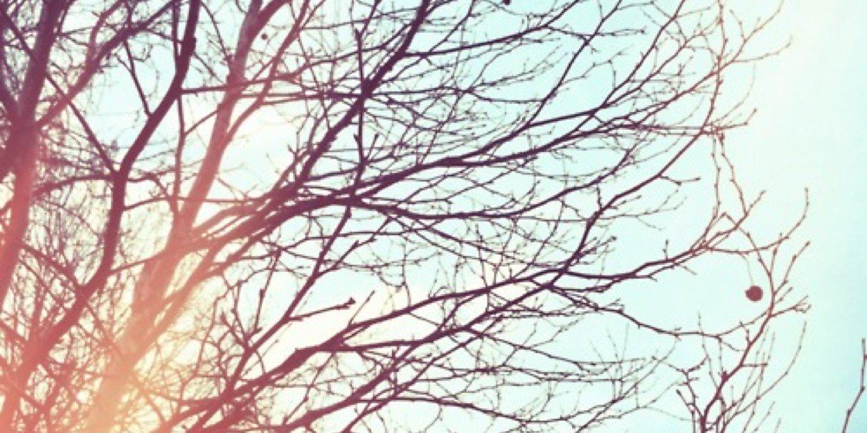 mimibriones's profile banner image