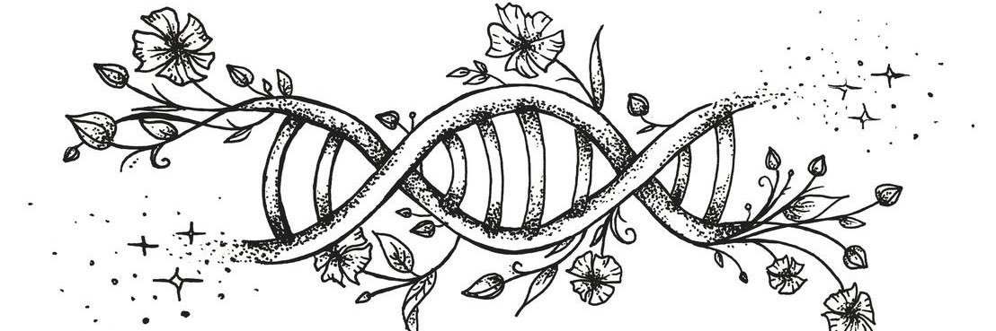 Alyssa Rosetta banner