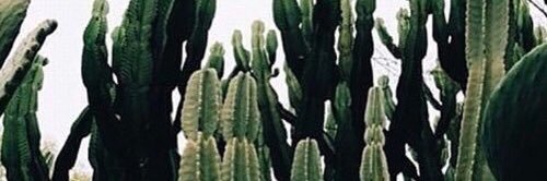 emma_sterner's profile banner image