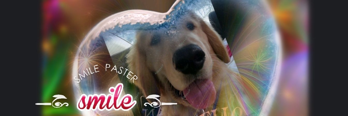 🎶🍀💖Leslye💖🍀🎶 banner