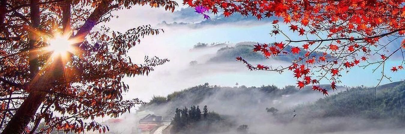 Slatkovitch.Angelo banner