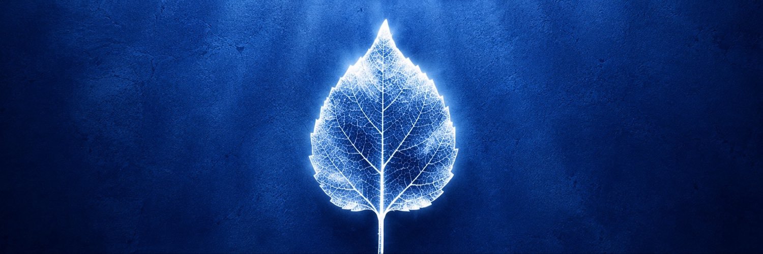 Vllxo0's profile banner image