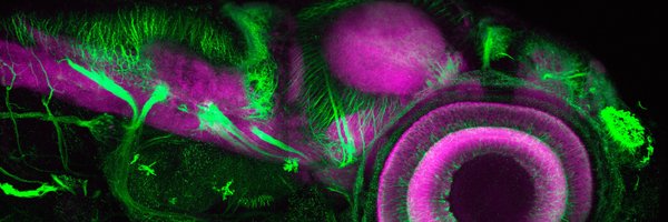 stevewilsonlab Profile Banner