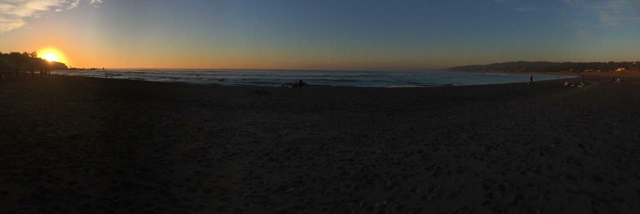 Patricia S. ☮️🚴🏻‍♀️🦮 banner