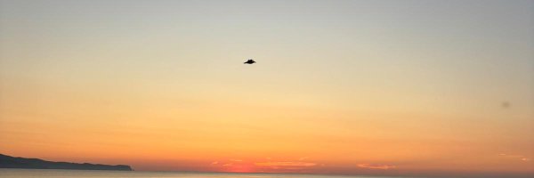 Griff_Mrstaylor Profile Banner