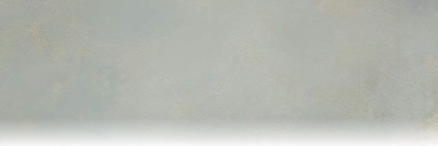 Areen_s1's profile banner image