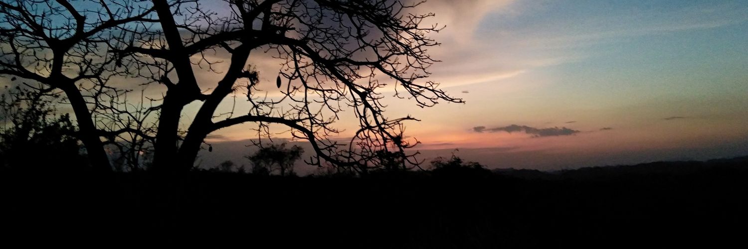 soymaryvilla's profile banner image
