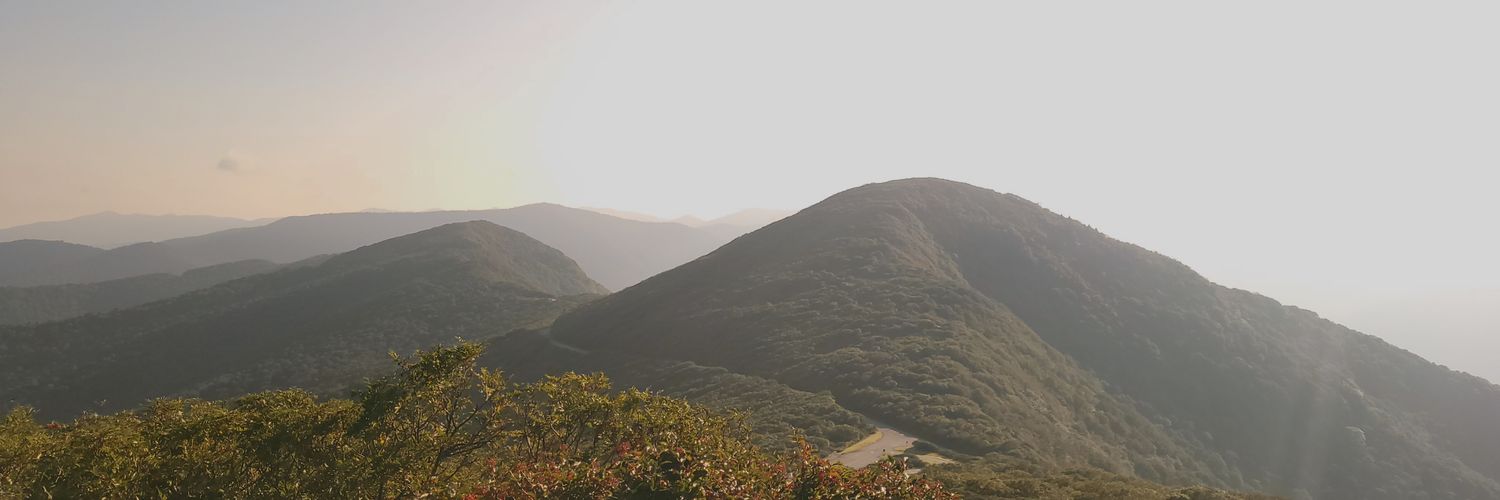 bradEwinter's profile banner image