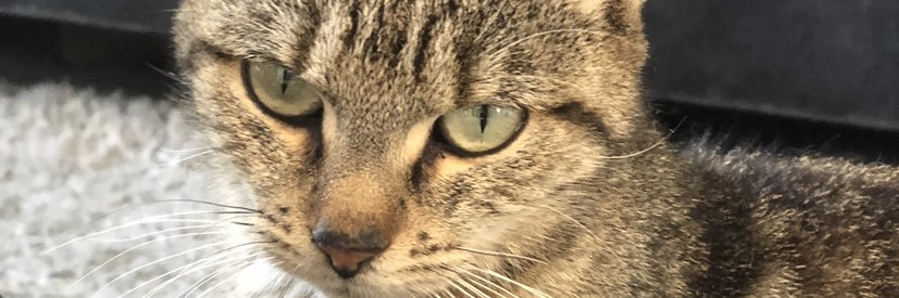 DimNonnon's profile banner image