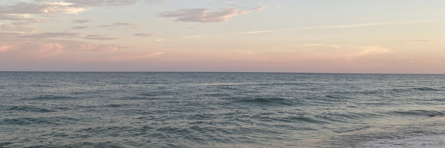 carolinetschida's profile banner image