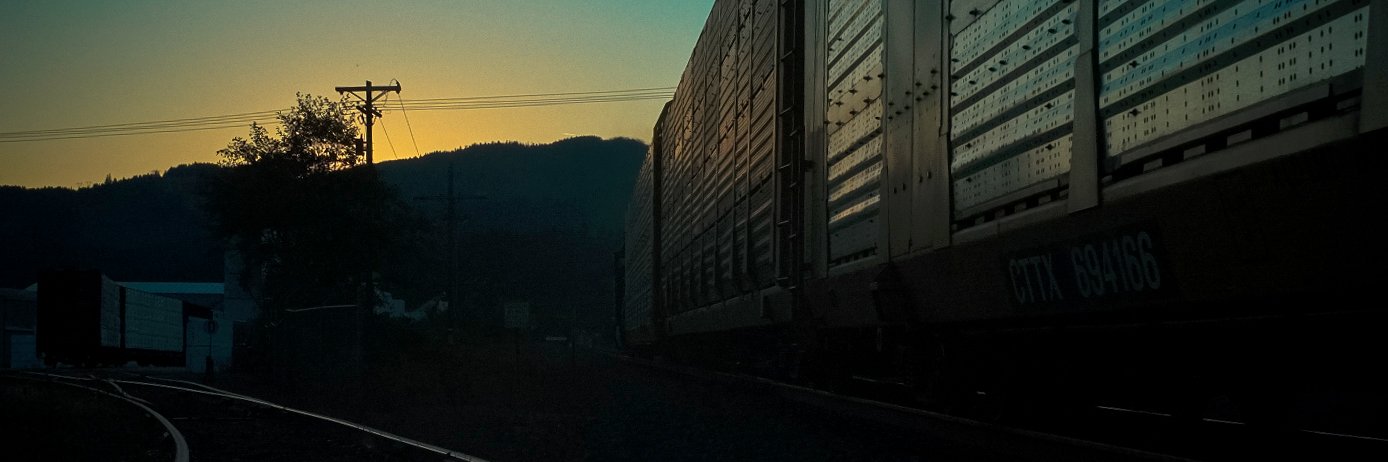 everydayelk's profile banner image